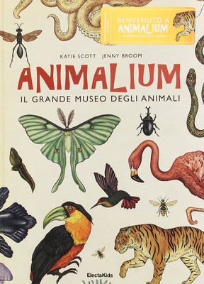 Animalium. Il grande museo degli animali